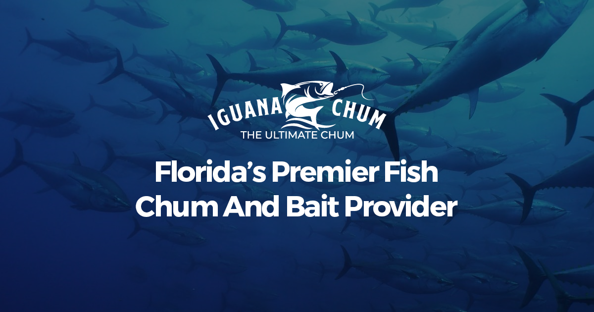 Iguana Chum  Florida's Premier Fish Chum And Bait Provider